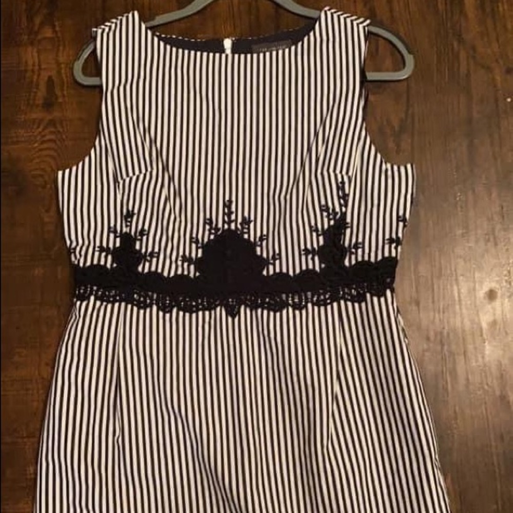 The Limited Dress. New with tag